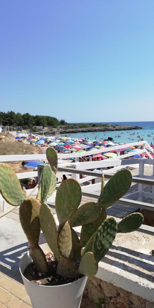 Salenti..Amo Villa Pulsano Kültér fotó
